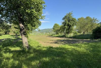 Teren de 3000 mp, în Budila