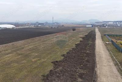 Teren 947 mp Sanpetru | Comision 0% | PUZ CU - 4