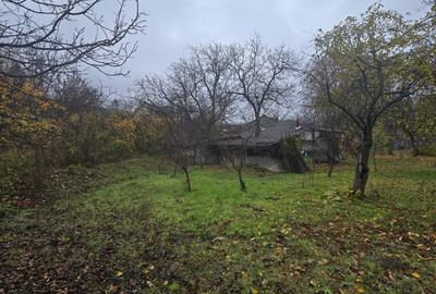 Teren Construcții intravilan de 500 mp, în Tomești - 1