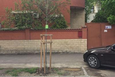 Casă cu 4 camere în Cotroceni - 8