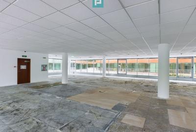 Spatiu birouri clasa A zona de nord, Herastrau. - 9