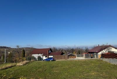 Vanzare  1400mp teren imprejmuit 2 loturi pt casa Adancata - sub padure - 4