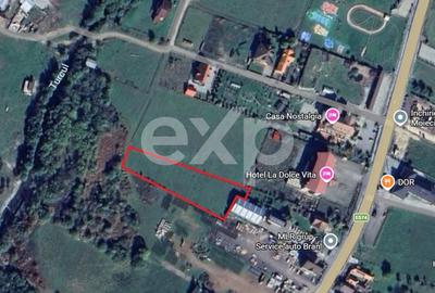 Teren Construcții intravilan de 4059 mp, în Bran - 3