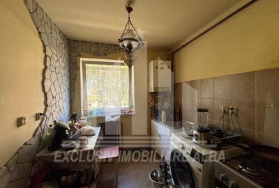 Apartament cu 2 camere semidecomandat în Cetate - 2