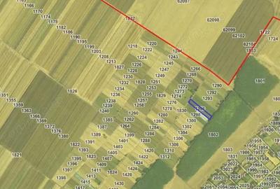 Teren extravilan, loc Obarsia, Jud Olt - 5