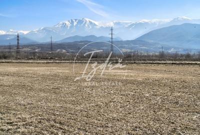 Teren agricol extravilan de 2800 mp, în Periferie - 1