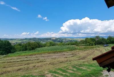 Casa de vanzare - 10