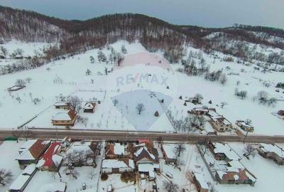 Casă cu 4 camere cu Teren 2000 Mp în Damiș - 27