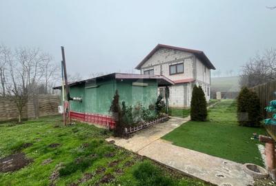 Casa 6 camere + anexa, 811 mp teren, zona Leamna de Sus - 6