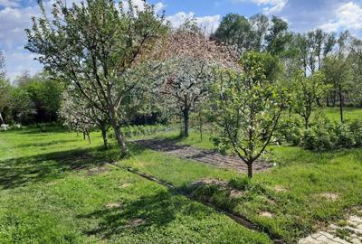 Casă individuală cu 2 camere cu Teren 1836 Mp în Beclean - 6