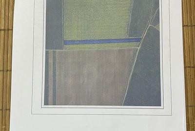 Teren de 18000 mp, în Roit
