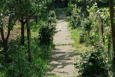 Casă în Racovițeni - 3