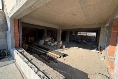 Spatiu Comercial De Vanzare sau De Inchiriat . Pacurari - Rediu Lac . Direct Dezvoltator - 4