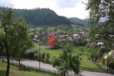 Teren intravilan 3214 mp in Rucar cu deschidere 56 m i... - 2