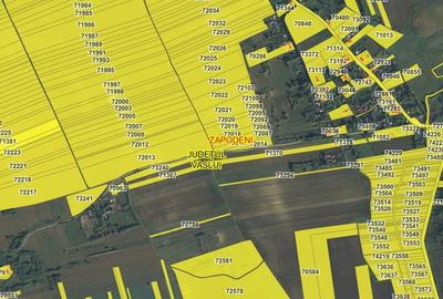 Teren de 9000 mp, în Zăpodeni - 2