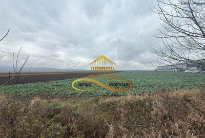 Teren industrial de vanzare in Bacau zona RAR - 5