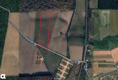 Teren de 35000 mp, în Periș - 2