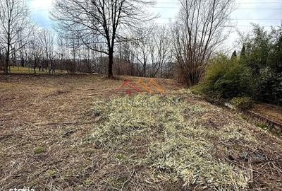 Teren de 3171 mp, în Cornu - 1