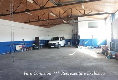 HALA + BIROURI, PARCARE GENEROASA - 7