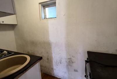 Casă cu 2 camere cu Canalizare în Parcul Carol - 14