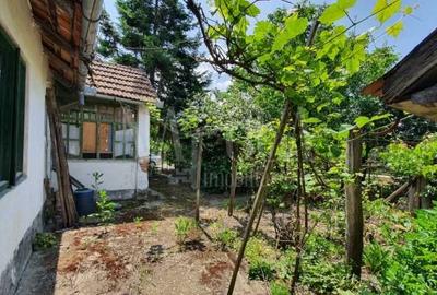 Casa 3 camere de vanzare in Nicolae Iorga Oradea, Oradea - 5