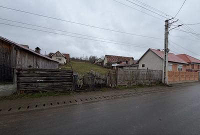 Spațiu comercial, în Păuca - 3