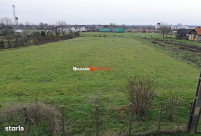 Spațiu comercial, în Leș - 5