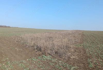 Teren de 1500 mp, în Valea Lupului - 1