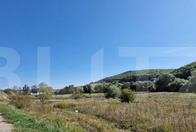 Teren de 1850 mp, în Feleacu