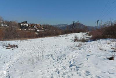 Teren de 4355 mp, în Central - 1