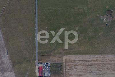 Teren 11.600 mp – Rasnov, zona Tabara, 230 m de DN 73 - 11