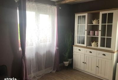 Casă cu 4 camere cu Teren 5000 Mp în Șuncuiuș - 8