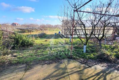 Casa individuala,independenta energetic, 5 camere,teren3783,Peciu Nou - 33