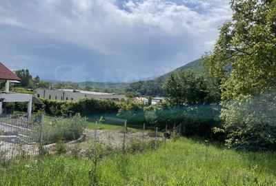 Teren Construcții intravilan de 1340 mp, în Cisnădioara - 2