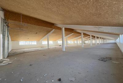 Spațiu industrial, de 8,164 mp, în Ciohorăni - 2