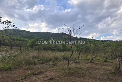 Teren spectaculos cu padure, livada si priveliste panoramica in Soimari PH - 18