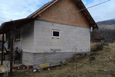 Casă cu 2 camere cu Teren 4115 Mp în Livezi - 9