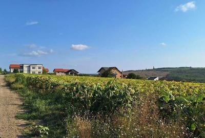 Spațiu comercial, în Valea Lupului - 13