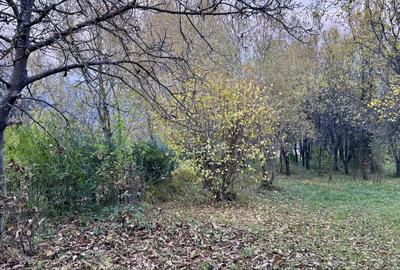 Spațiu comercial, în Feleacu - 2