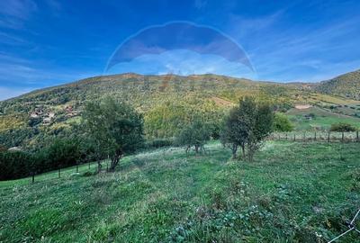 Teren 1812 mp de vanzare | Muntele Rece, cadru linistit, Comision 0% - 1