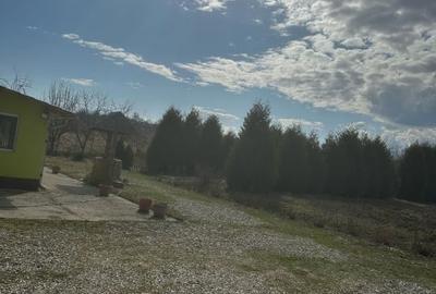 Casa 3 dormitoare, 128mp, 4750mp teren, piscina, cuptor de paine , Casolt - 4