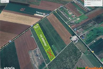 Teren de 15000 mp, în Horlești - 5