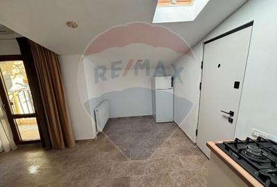 Apartament 2 camere cu terasa Gara de nord Apartament 2 camere cu terasa Gara de nord - 9