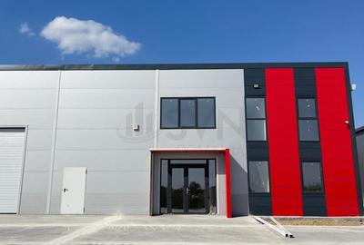 Hale depozitare de in zona de Nord Chitila Hale depozitare de in zona de Nord Chitila - 4