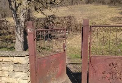 Casă cu Teren 2267 Mp în Vultureni - 3