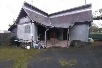 Casă cu 3 camere în Vânători - 4