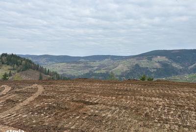 Teren de 1819 mp, în Horea - 8