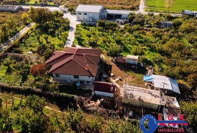 ID 7785 LIVADA SABANGIA DE VANZARE - 28