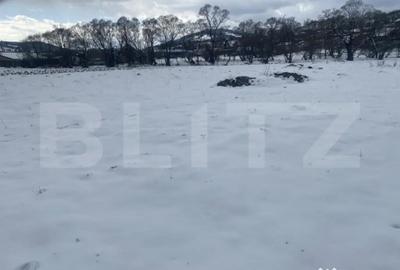 Teren de 4000 mp, în Central