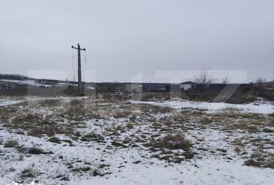 Teren de 2570 mp, în Ciurea - 1